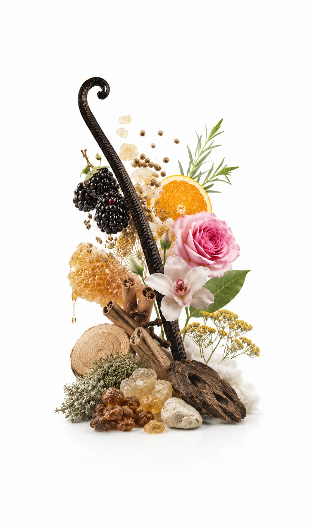 Triumph Perfume Oil inspired by Jubilation XXV Man, Amouage — fragrance-note image for a scent where incense and oud deepen into rich woods and dark fruit.