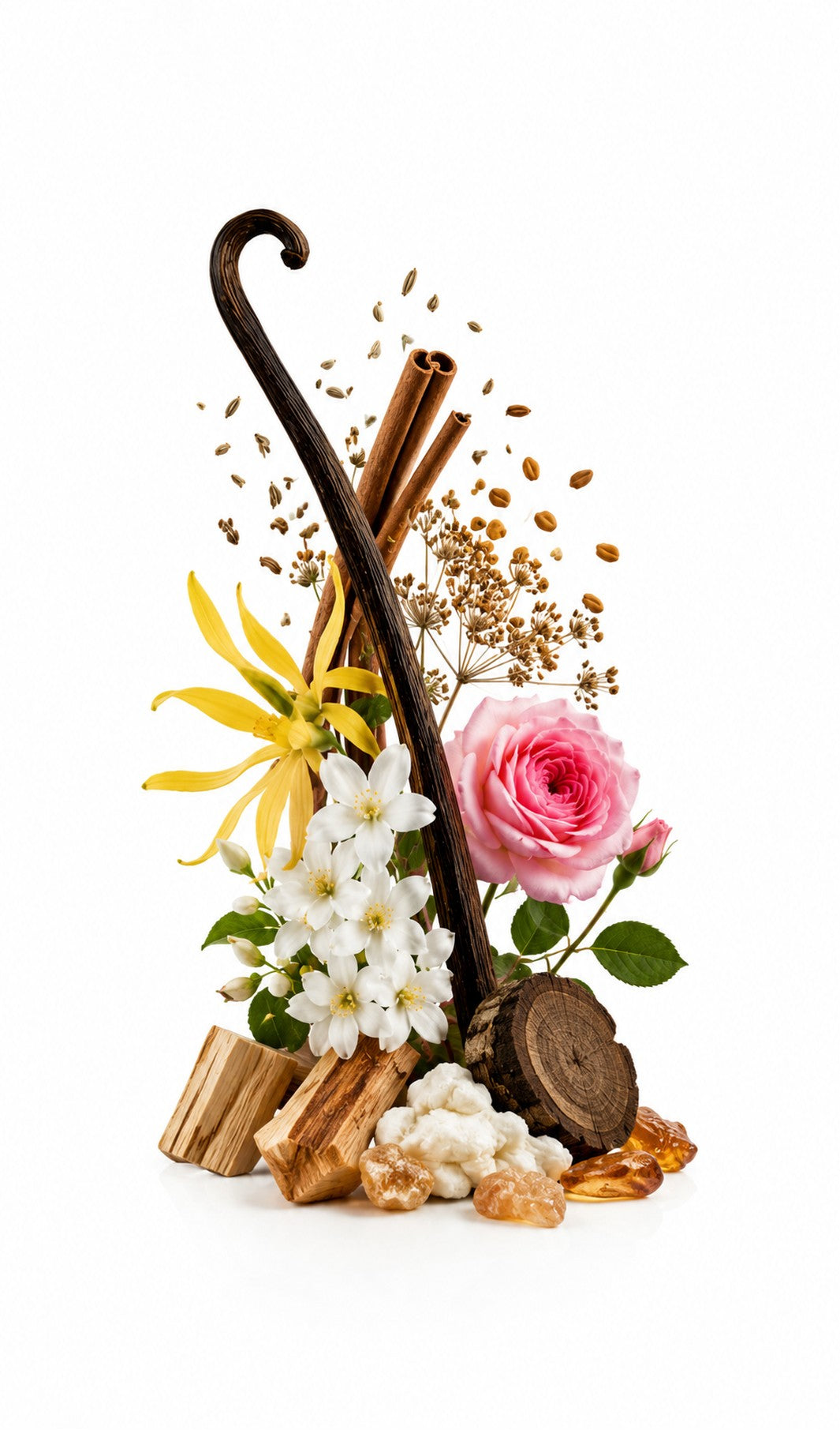Velvet Santal Perfume Oil inspired by Santal Blush, Tom Ford — fragrance-note image for a scent where creamy sandalwood and warm spice soften into floral musk.