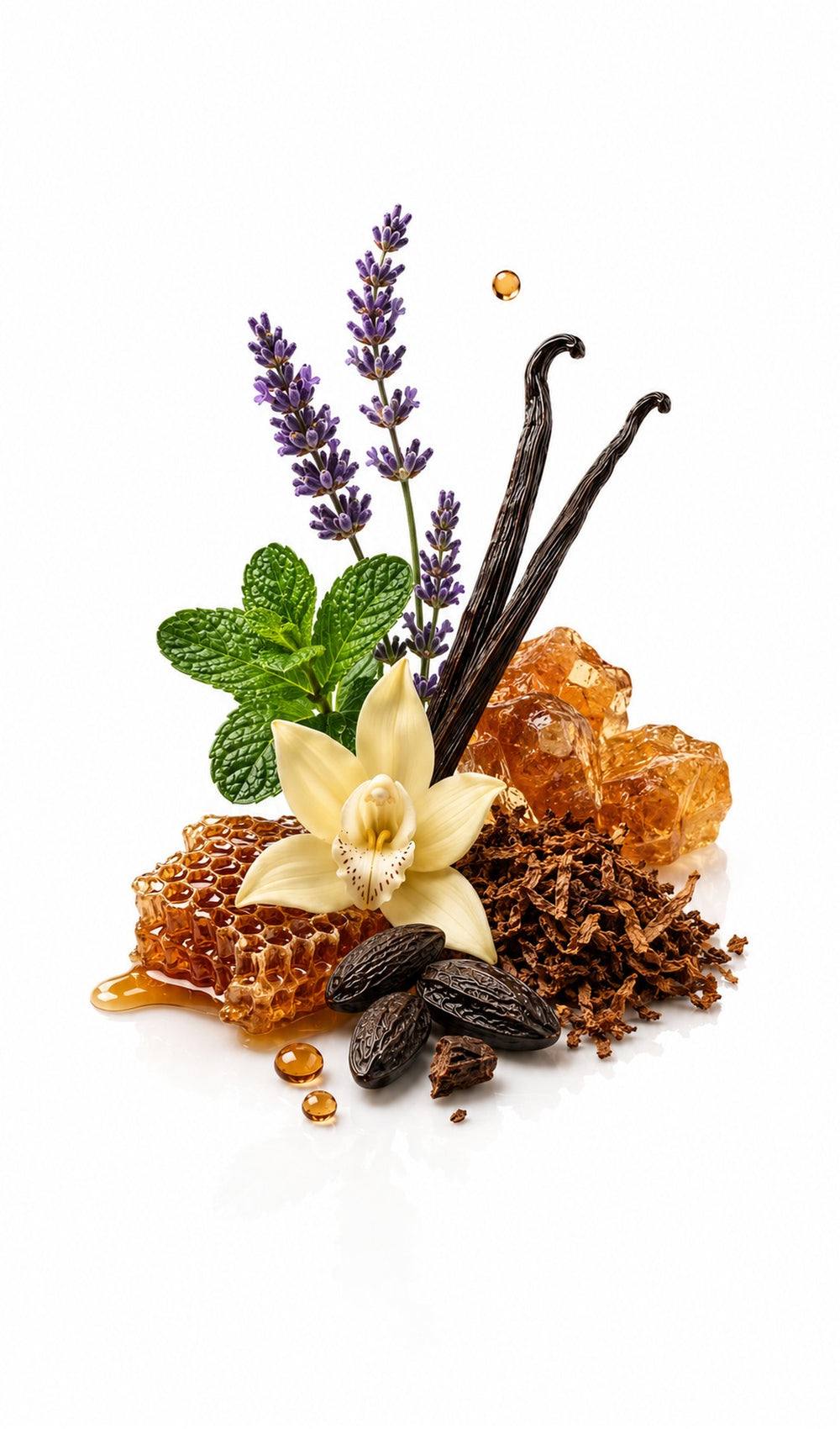 Zephyr Perfume Oil inspired by Le Male Elixir, Jean Paul Gaultier — fragrance-note image for a scent where lavender and mint brighten vanilla, tonka and warm woods.