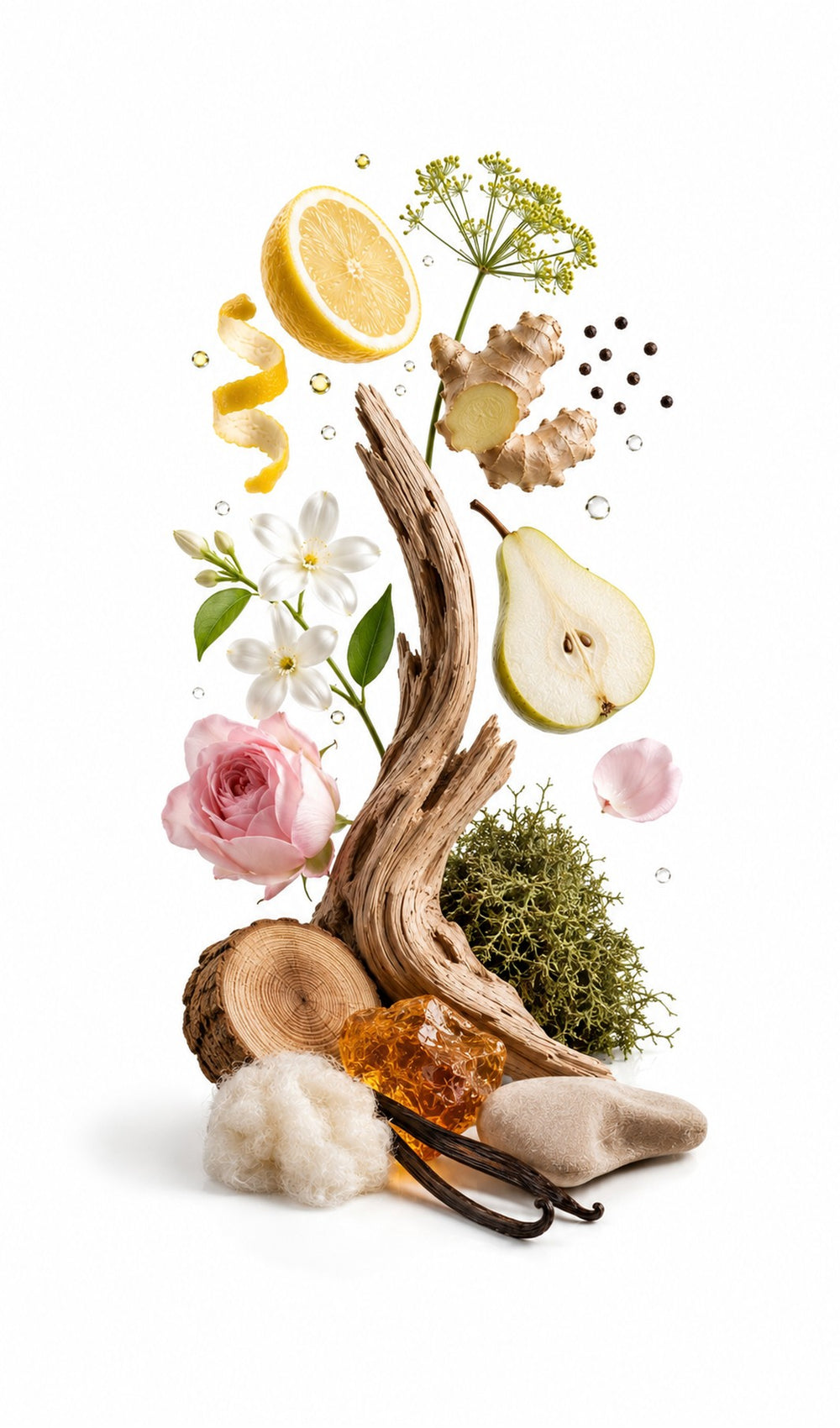 Zova Perfume Oil inspired by Narciso EDT, Narciso Rodriguez — fragrance-note image for a scent where soft musk and florals settle into creamy woods and powdery warmth.
